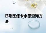 郑州医保卡余额查询方法