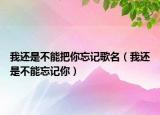 我还是不能把你忘记歌名（我还是不能忘记你）