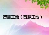 智慧工地（智慧工地）