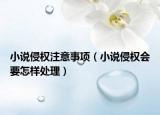 小说侵权注意事项（小说侵权会要怎样处理）