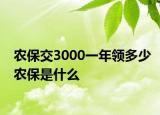 农保交3000一年领多少农保是什么
