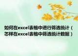 如何在excel表格中进行筛选统计（怎样在excel表格中筛选统计数据）