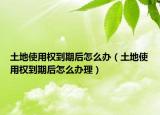 土地使用权到期后怎么办（土地使用权到期后怎么办理）