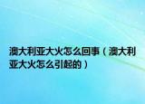 澳大利亚大火怎么回事（澳大利亚大火怎么引起的）