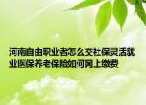 河南自由职业者怎么交社保灵活就业医保养老保险如何网上缴费