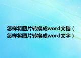 怎样将图片转换成word文档（怎样将图片转换成word文字）