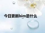 今日更新bim是什么