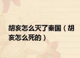 胡亥怎么灭了秦国（胡亥怎么死的）