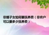 非婚子女如何要抚养费（非农户可以要多少抚养费）