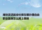 潍坊灵活就业社保在哪办理自由职业医保怎么网上缴纳