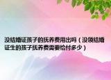 没结婚证孩子的抚养费用出吗（没领结婚证生的孩子抚养费需要给付多少）
