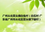 广州从化鳌头镇白兔村（白石村 广东省广州市从化区鳌头镇下辖村）