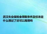 武汉失业保险金领取条件及标准是什么领过了还可以再领吗