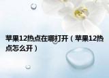 苹果12热点在哪打开（苹果12热点怎么开）