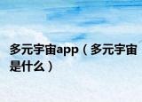 多元宇宙app（多元宇宙是什么）