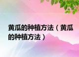 黄瓜的种植方法（黄瓜的种植方法）