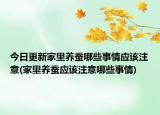 今日更新家里养蚕哪些事情应该注意(家里养蚕应该注意哪些事情)