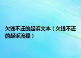 欠钱不还的起诉文本（欠钱不还的起诉流程）