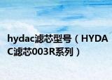 hydac滤芯型号（HYDAC滤芯003R系列）
