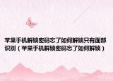 苹果手机解锁密码忘了如何解锁只有面部识别（苹果手机解锁密码忘了如何解锁）