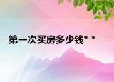 第一次买房多少钱* *
