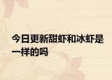 今日更新甜虾和冰虾是一样的吗
