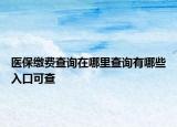 医保缴费查询在哪里查询有哪些入口可查