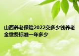 山西养老保险2022交多少钱养老金缴费标准一年多少