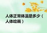 人体正常体温是多少（人体绘画）
