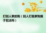 打别人家的狗（别人打我家狗属于犯法吗）