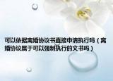 可以依据离婚协议书直接申请执行吗（离婚协议属于可以强制执行的文书吗）