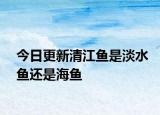 今日更新清江鱼是淡水鱼还是海鱼