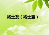 褚士友（褚士宝）