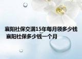 襄阳社保交满15年每月领多少钱 襄阳社保多少钱一个月