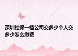 深圳社保一档公司交多少个人交多少怎么缴费