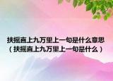 扶摇直上九万里上一句是什么意思（扶摇直上九万里上一句是什么）