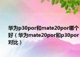 华为p30por和mate20por哪个好（华为mate20por和p30por对比）