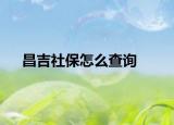 昌吉社保怎么查询
