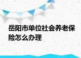 岳阳市单位社会养老保险怎么办理