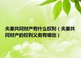 夫妻共同财产有什么权利（夫妻共同财产的权利义务有哪些）