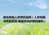 西洋参和人参有区别吗（人参和西洋参的区别 看看这些你都知道吗）