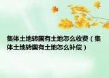 集体土地转国有土地怎么收费（集体土地转国有土地怎么补偿）