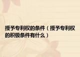 授予专利权的条件（授予专利权的积极条件有什么）