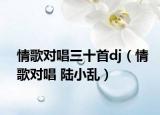 情歌对唱三十首dj（情歌对唱 陆小乱）