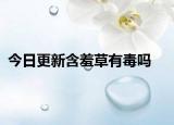 今日更新含羞草有毒吗
