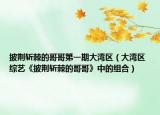 披荆斩棘的哥哥第一期大湾区（大湾区 综艺《披荆斩棘的哥哥》中的组合）