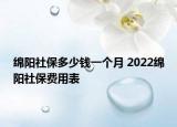 绵阳社保多少钱一个月 2022绵阳社保费用表