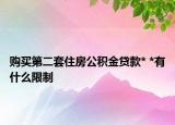 购买第二套住房公积金贷款* *有什么限制