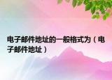 电子邮件地址的一般格式为（电子邮件地址）