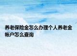 养老保险金怎么办理个人养老金帐户怎么查询
